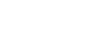Merakihairext